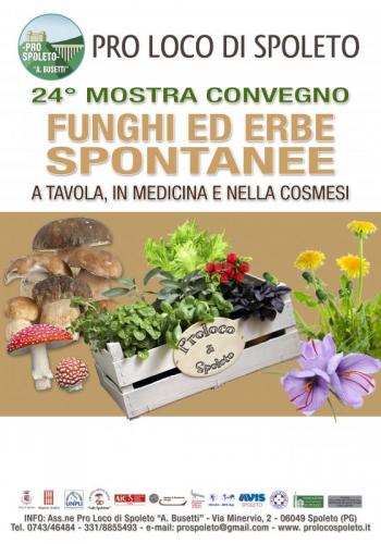 Mostra Micologica - Spoleto