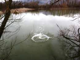 Halloween Party - Bologna