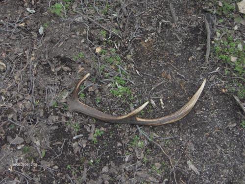 Escursione A Bruncu Su Staulu Mannu - Castiadas