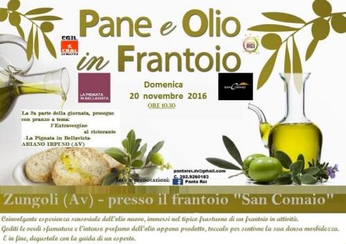 Pane E Olio In Frantoio - Zungoli