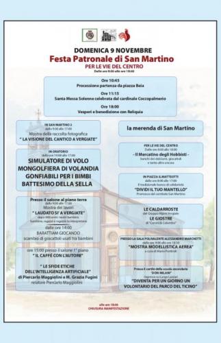 Festa Di San Martino A Vergiate - Vergiate