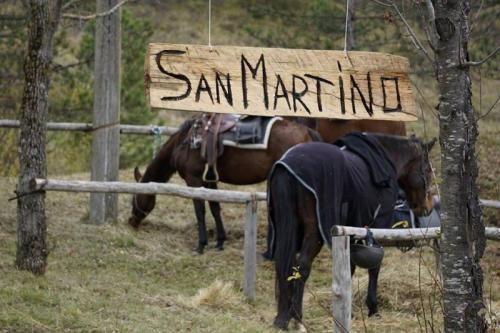 Festa E Sagra Di San Martino - Lizzano In Belvedere
