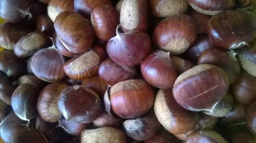 Festa Di San Martino - Alto Reno Terme