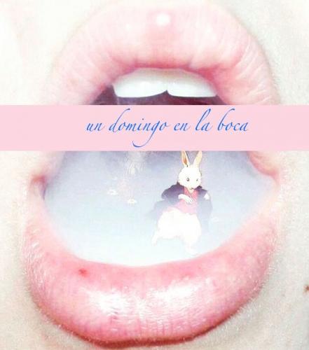 Maison Ventidue - Bologna