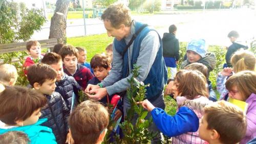 La Festa Dell'albero - Pedaso
