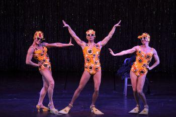 Priscilla La Regina Del Deserto - Bologna