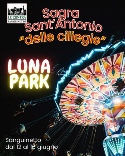 Sagra Di Sant'antonio - Sanguinetto