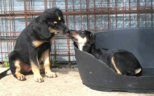 Cena Di Solidarietà - Salerno