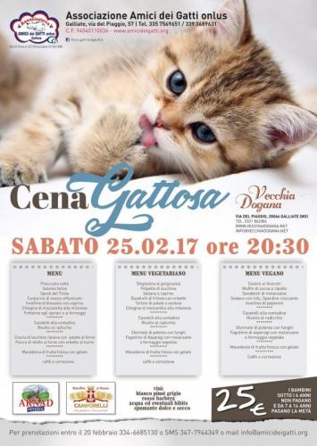 Carnevale Gattoso - Galliate