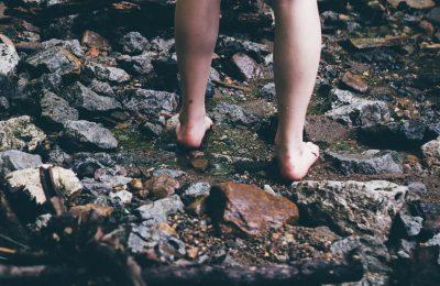 Trekking Sul Monte Nerone - Apecchio