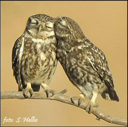 San Valentino All'agriturismo Ca' Du Re - Rocca Susella