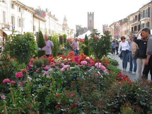 Villafranca In Fiore - Villafranca Di Verona