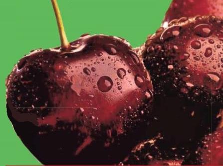 Sagra Dell'amarena A Trofarello - Trofarello