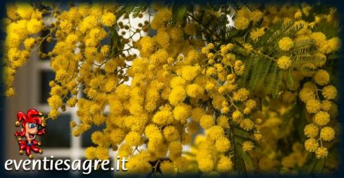Festa Della Donna - Granarolo Dell'emilia