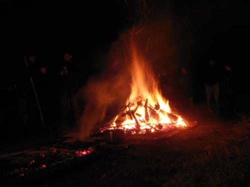 Primavera Culturale - Lugo