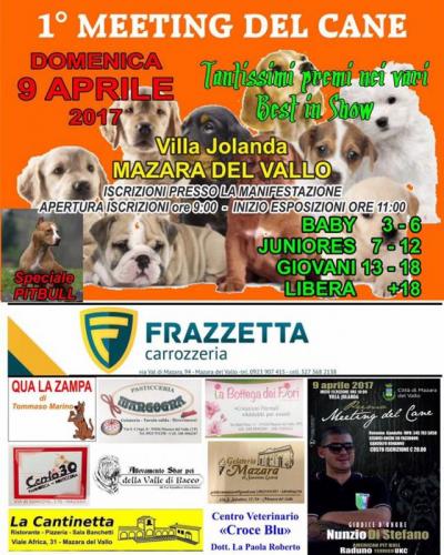 Meeting Del Cane - Mazara Del Vallo