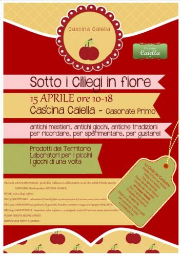 Sotto I Ciliegi In Fiore - Casorate Primo