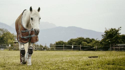Rifugio Del Cavallo - Montereale Valcellina