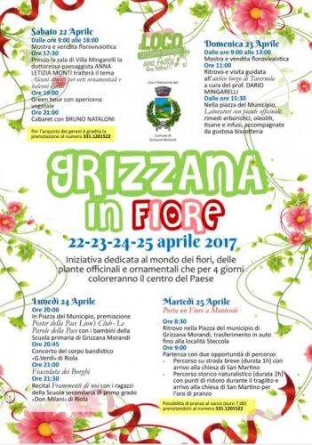Grizzana In Fiore - Grizzana Morandi