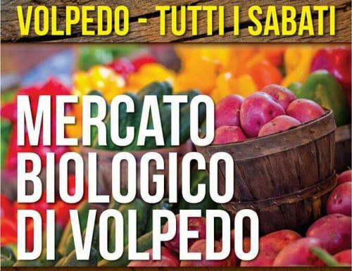 Antico Mercato Di Volpedo - Volpedo