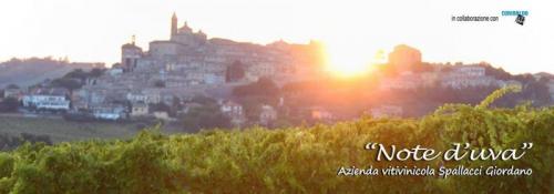 Note D'uva - Corinaldo