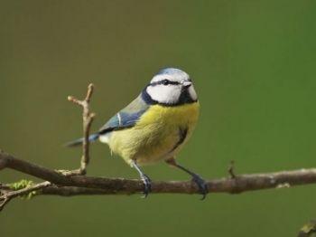 Escursione Nella Riserva Dei Ghirardi - Borgo Val Di Taro