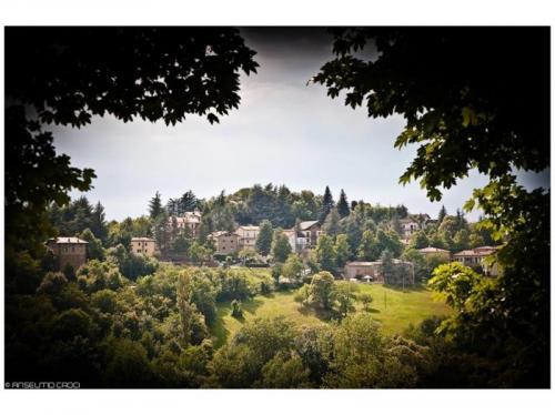 Fiera Di San Rocco - Carpineti