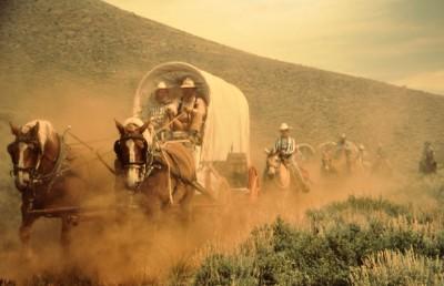 Caccia Alle Stelle - Vigolzone