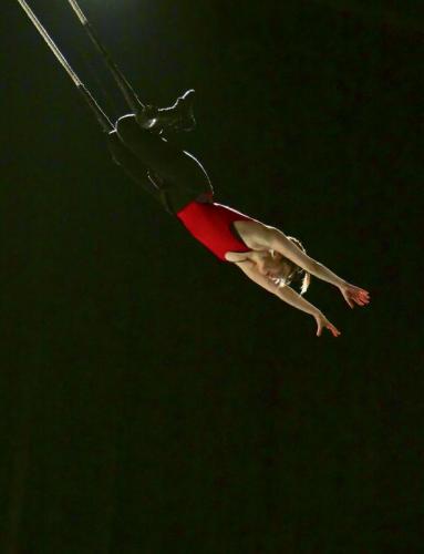 Flic Scuola Di Circo - Torino