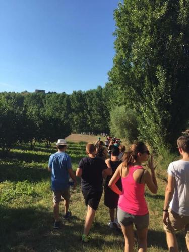 Camminata A Costigliole D'asti - Costigliole D'asti