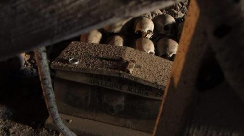 Visite Guidate Di Curiocity - Napoli