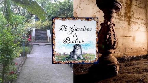 Visite Guidate Di Curiocity - Napoli