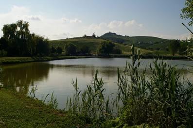 Un Pomeriggio Al Paludo - Calosso