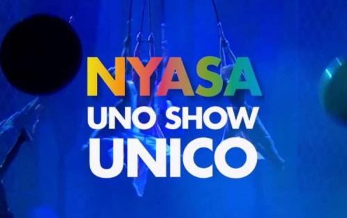 Acrobati Sonics - Torino