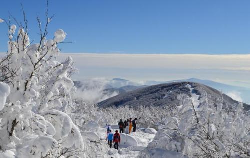 Trail Della Campigna - Santa Sofia