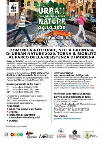 Bioblitz - Modena