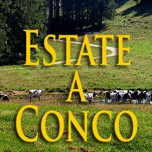 Estate A Conco - Lusiana Conco