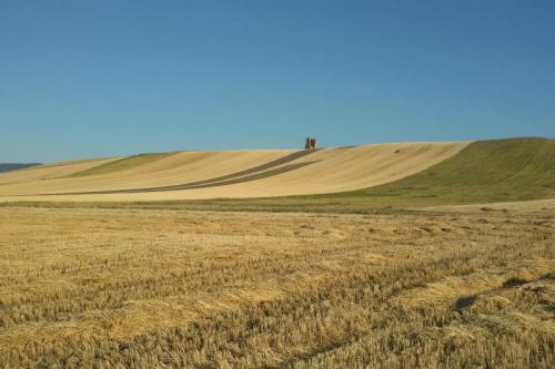 Sagre Nei Comuni Dei Monti Dauni - 