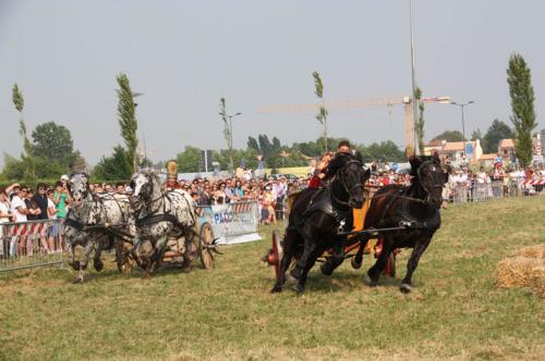 Festival Internazionale Della Sibaritide - Francavilla Marittima