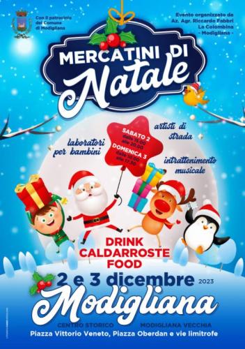 Mercatini Di Natale A Modigliana  - Modigliana