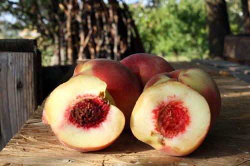 Festa Del Buco Incavato - Massa Lombarda