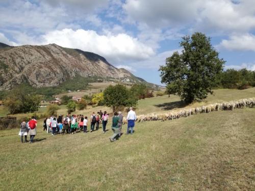 A Spasso Col Gregge - Cantalupo Ligure