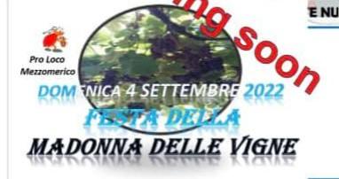 Festa Della Madonna Delle Vigne - Mezzomerico