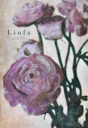 Personale Di Massimo Barlettani - Cerreto Guidi