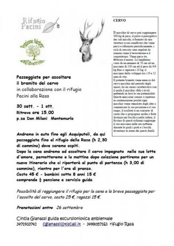 Ascolto Il Bramito Del Cervo - Montemurlo