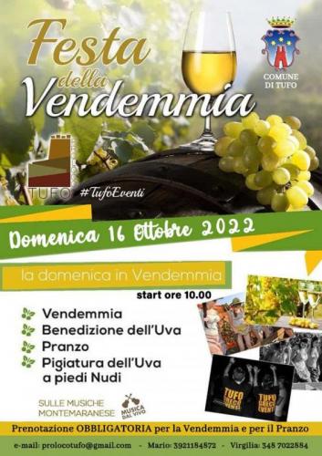 Festa Della Vendemmia A Tufo - Tufo