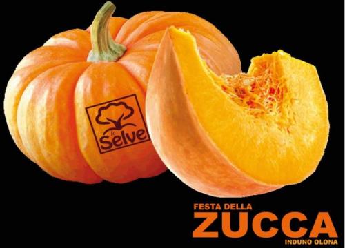 Festa Della Zucca - Induno Olona
