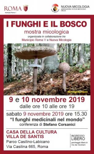 I Funghi E Il Bosco - Roma