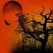 A Caccia Di Misteri Nella Notte Delle Streghe! - Isola Sant'antonio