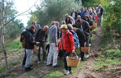 Corso Erbe Di Campo - Pesaro